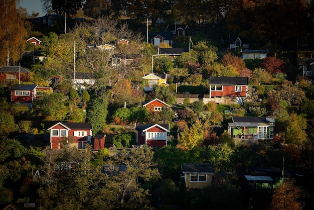 La svezia molte belle case in legno svedesi rosse e gialle di case in legno
