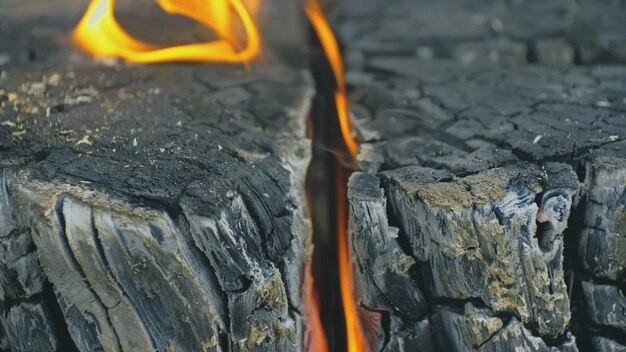 Swedish or finnish log candle. Fire burning from inside the wooden log at night. Cooking on a fire.