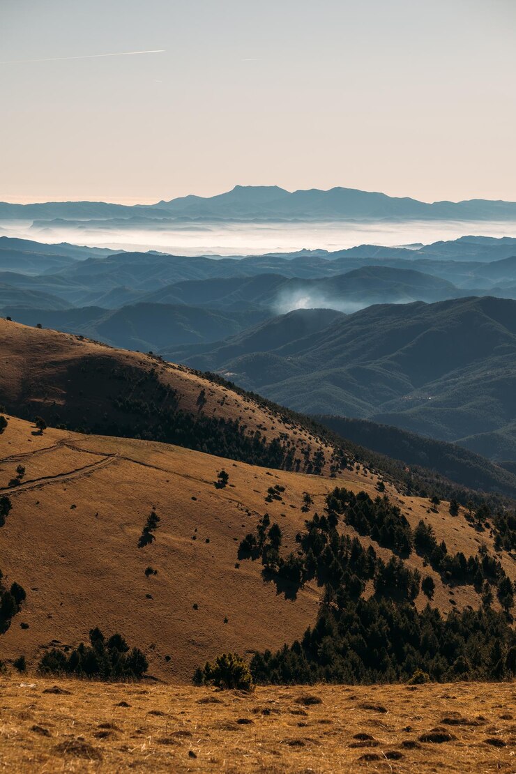 Sweeping view of rolling wooded hills fading into mist with golden slope in the foreground