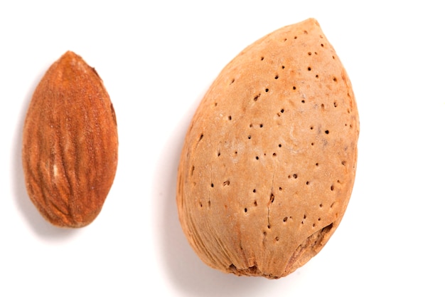 Sweet almond and seed