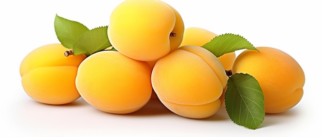 Sweet Apricots on Pure White Background