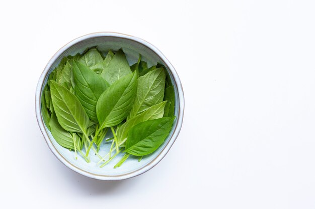 Sweet Basil leaves in bowl isolated on white