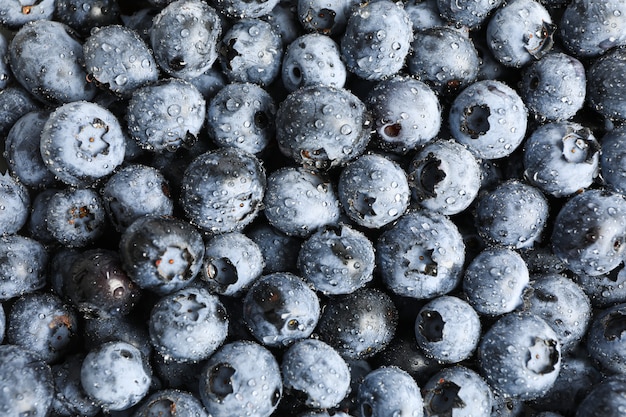 Sweet blueberry with drops as space, close up