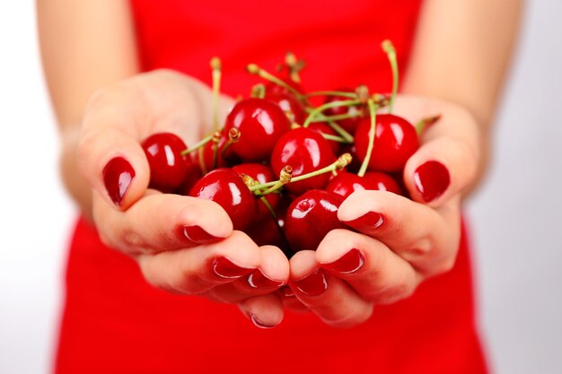sweet cherries in female hands close up