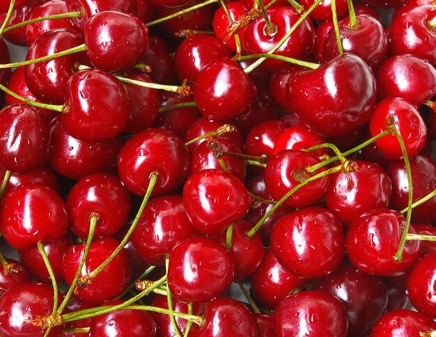 Sweet cherry background