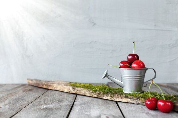 Sweet cherry berries in metal watering can on wooden background table, concrete gray wall. Freshness, summer conceptual composition. Eco, bio farm food concept with plank with moss, sunlight rays