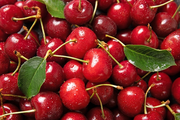 Photo sweet cherry on a black background with leaves and drops of water. view from above