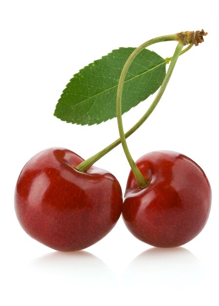 Sweet cherry isolated on white background