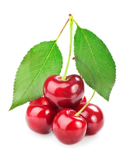 Sweet cherry isolated on white background