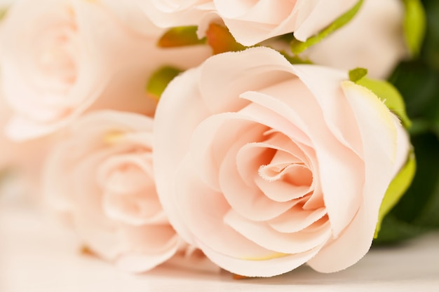 甘い色のバラは柔らかく、背景のぼかしスタイル