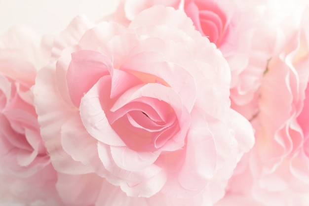 Photo sweet color roses in soft style for background