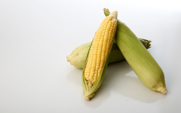 Sweet corn cobs with husks