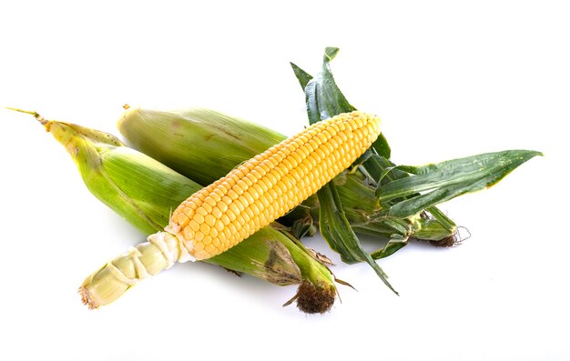 Sweet corn in front of white background