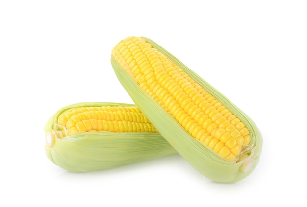 sweet corn isolated on white background