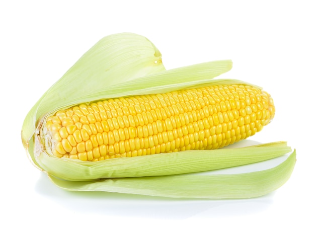 Sweet corn isolated on white