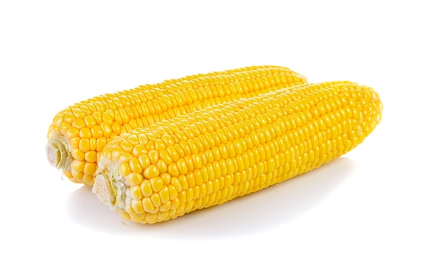 Sweet corn isolated