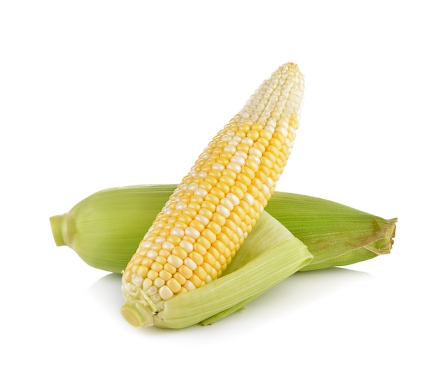 Sweet corn on white background