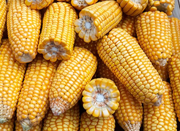 sweet corns top view