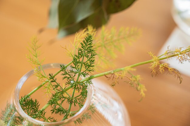 Sweet fennel