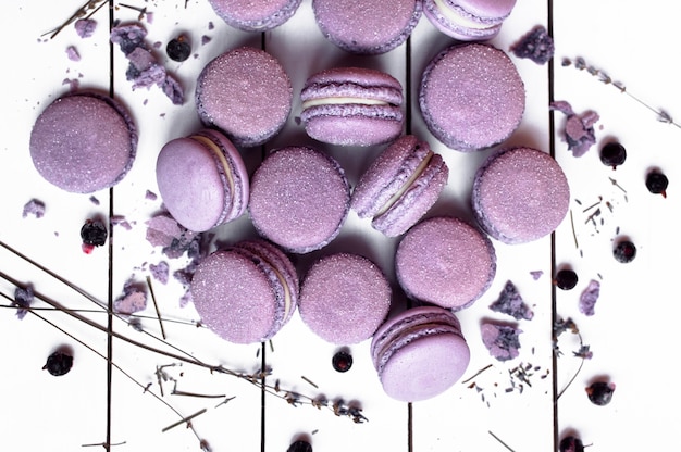 Sweet French macaron