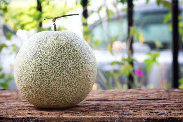 Sweet green melon on wooden table with copy space.