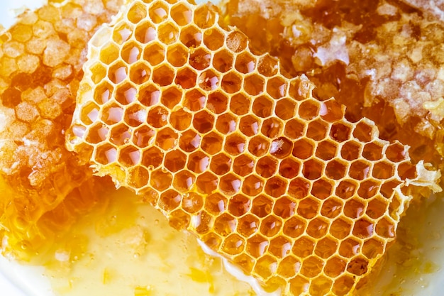 Сладкие соты, изолированные на белых продуктах пчеловодства с концепцией органических натуральных ингредиентов