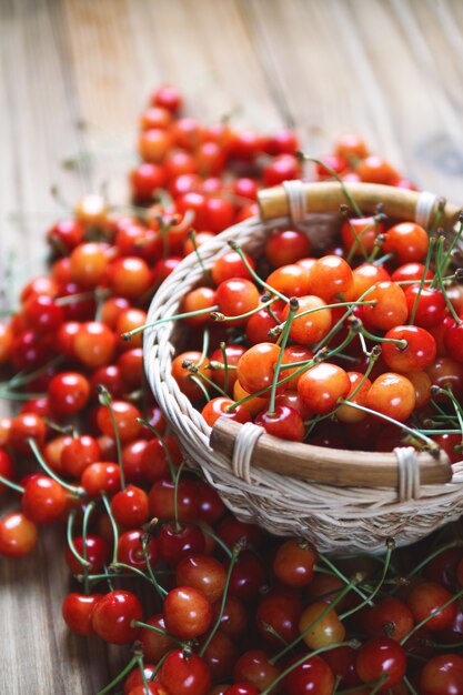 Sweet juicy ripe cherries in a basket