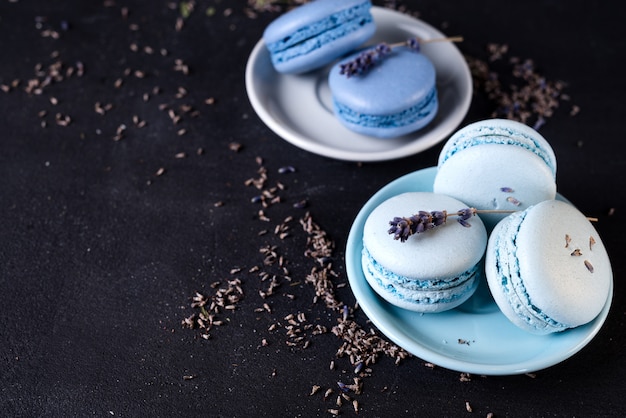 Sweet lavender macaron