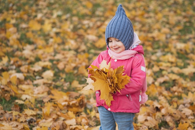 Sweet little girl enjoys autumn the child plays in the autumn forest and throws leaves a girl in a p...