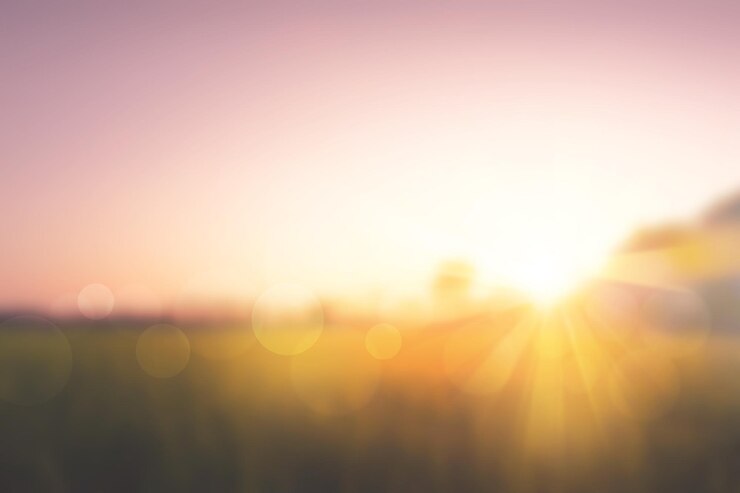Photo sweet meadows at sunset blurry background