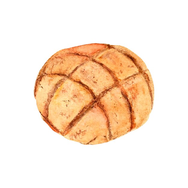 사진 격리 된 흰색 배경 손으로 그린에 달콤한 멜론 팬 빵 수채화