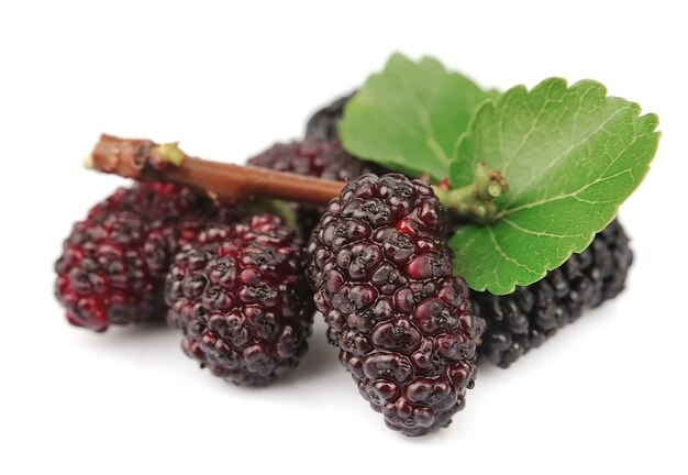 Sweet mulberry on a white background