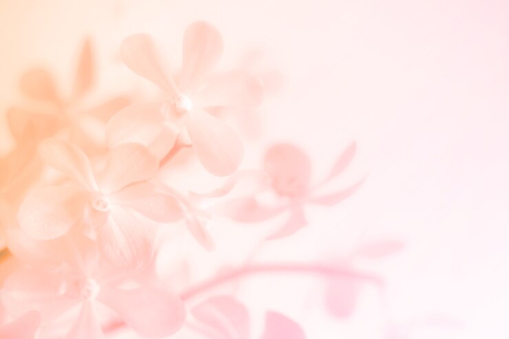 甘くてパステルカラーの花