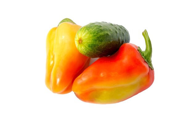 Sweet pepper and cucumber isolated on white background cutout. Capsicum colored and cucumber.