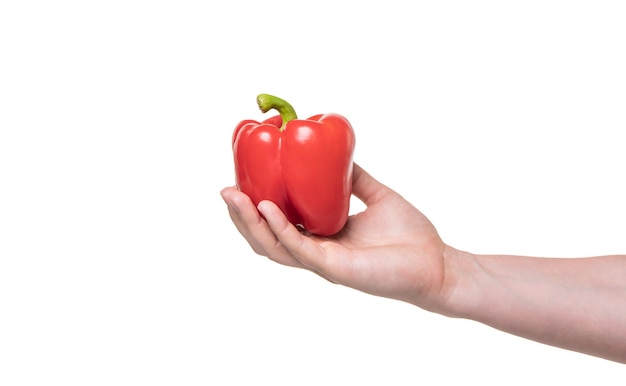 Sweet pepper vegetable in hand isolated on white background