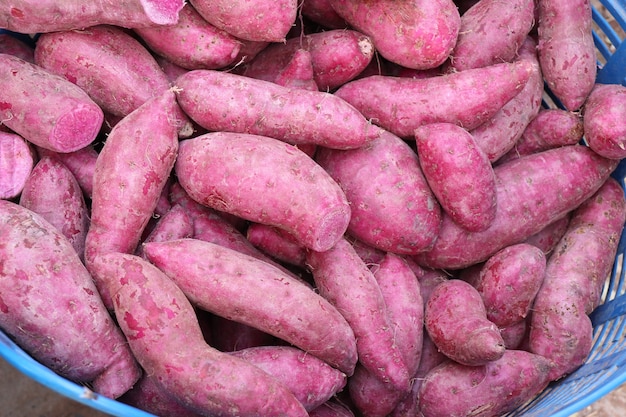 Sweet potato at street food