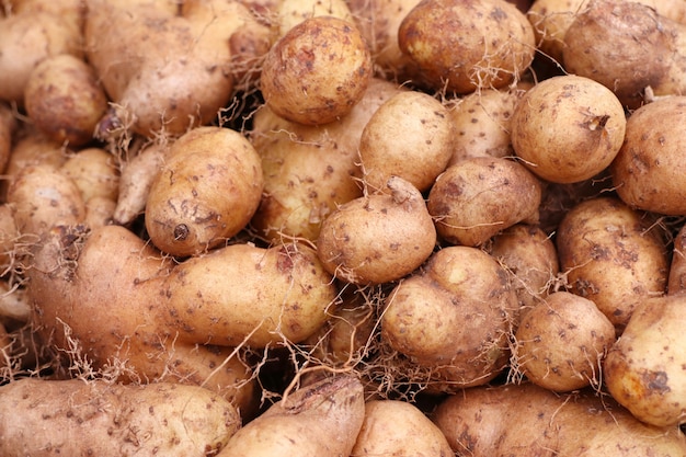 sweet potatoes at the market