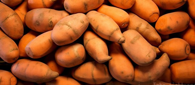 Sweet potatoes piled for market