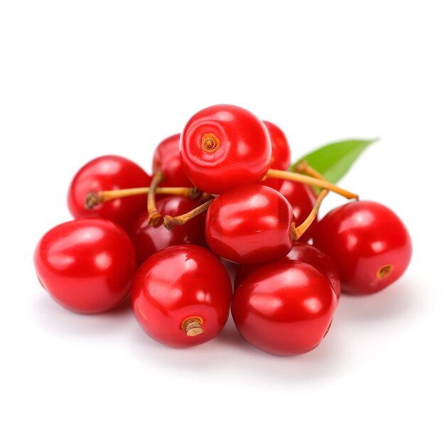 Sweet Prunus Tomentosa изолирован на белом фоне