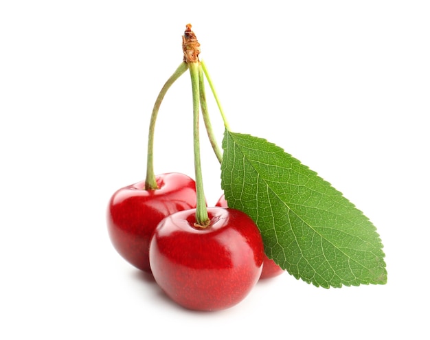 Sweet red cherries with leaf isolated on white