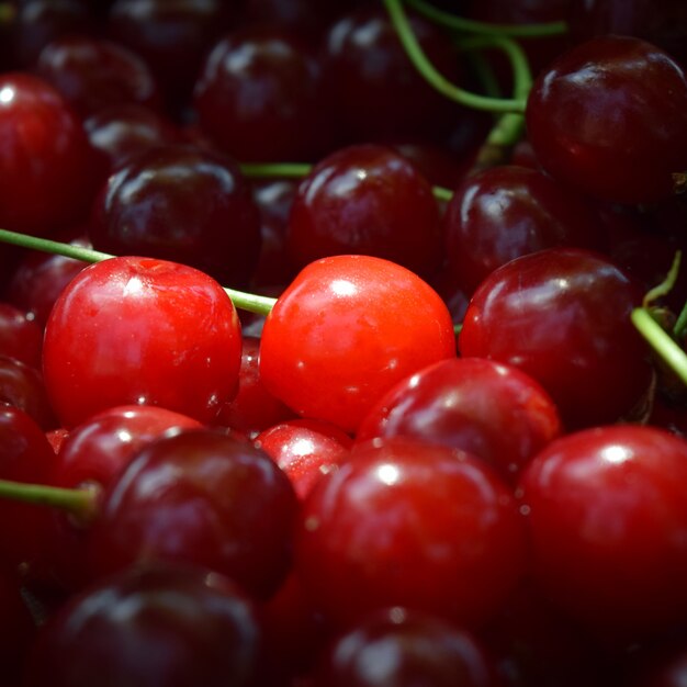 Sweet red cherry