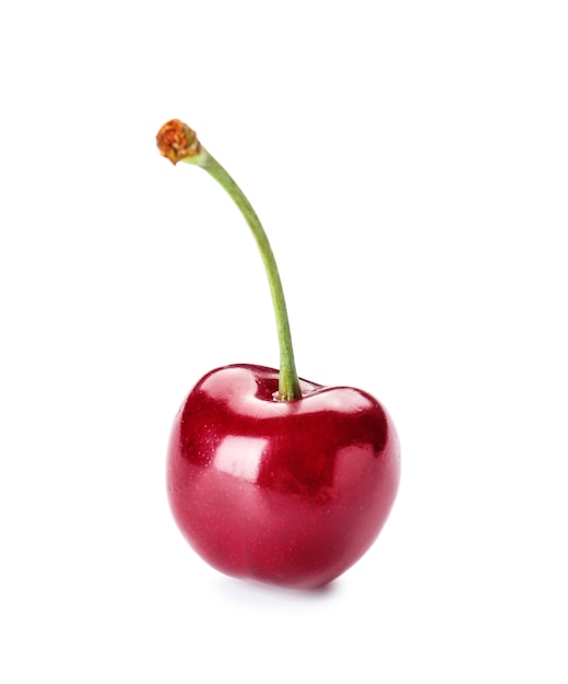 Sweet ripe cherry isolated