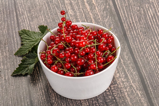 Sweet ripe red currant berries