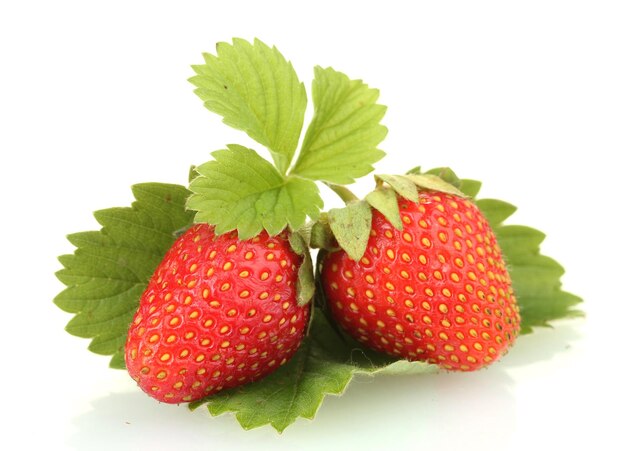 Sweet ripe strawberries with leaves isolated on white