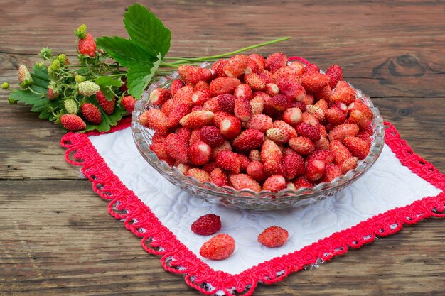 Sweet ripe wild strawberry in a plate on the table