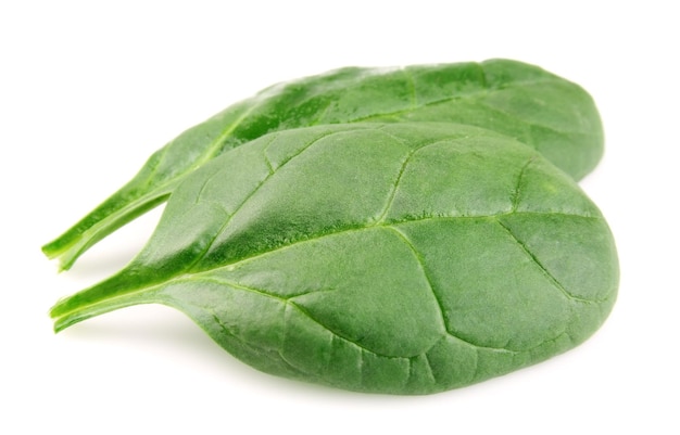 Photo sweet spinach