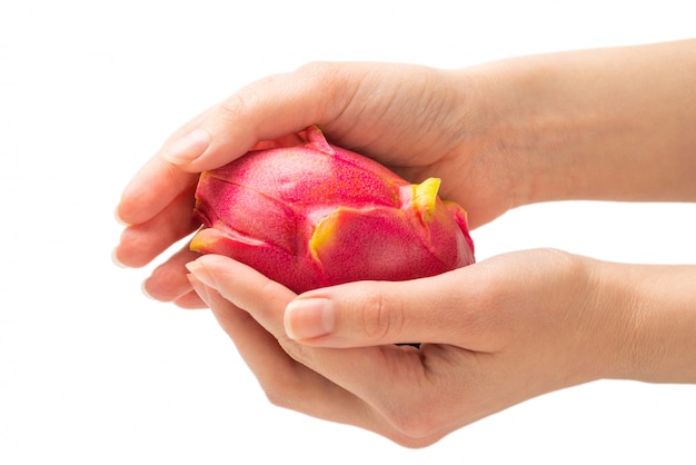 Sweet tasty dragon fruit or pitaya in woman hand isolated