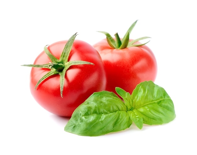 Sweet tomatoes with basil herbal isolated on white