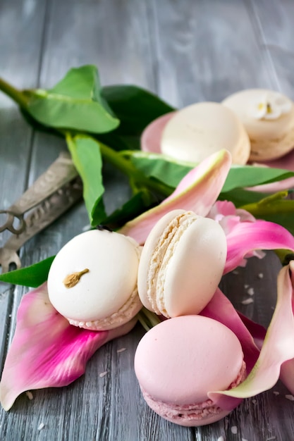 Sweet vanilla macarons french