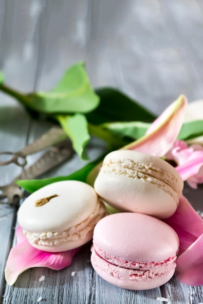 Foto dolce macarons alla vaniglia francese